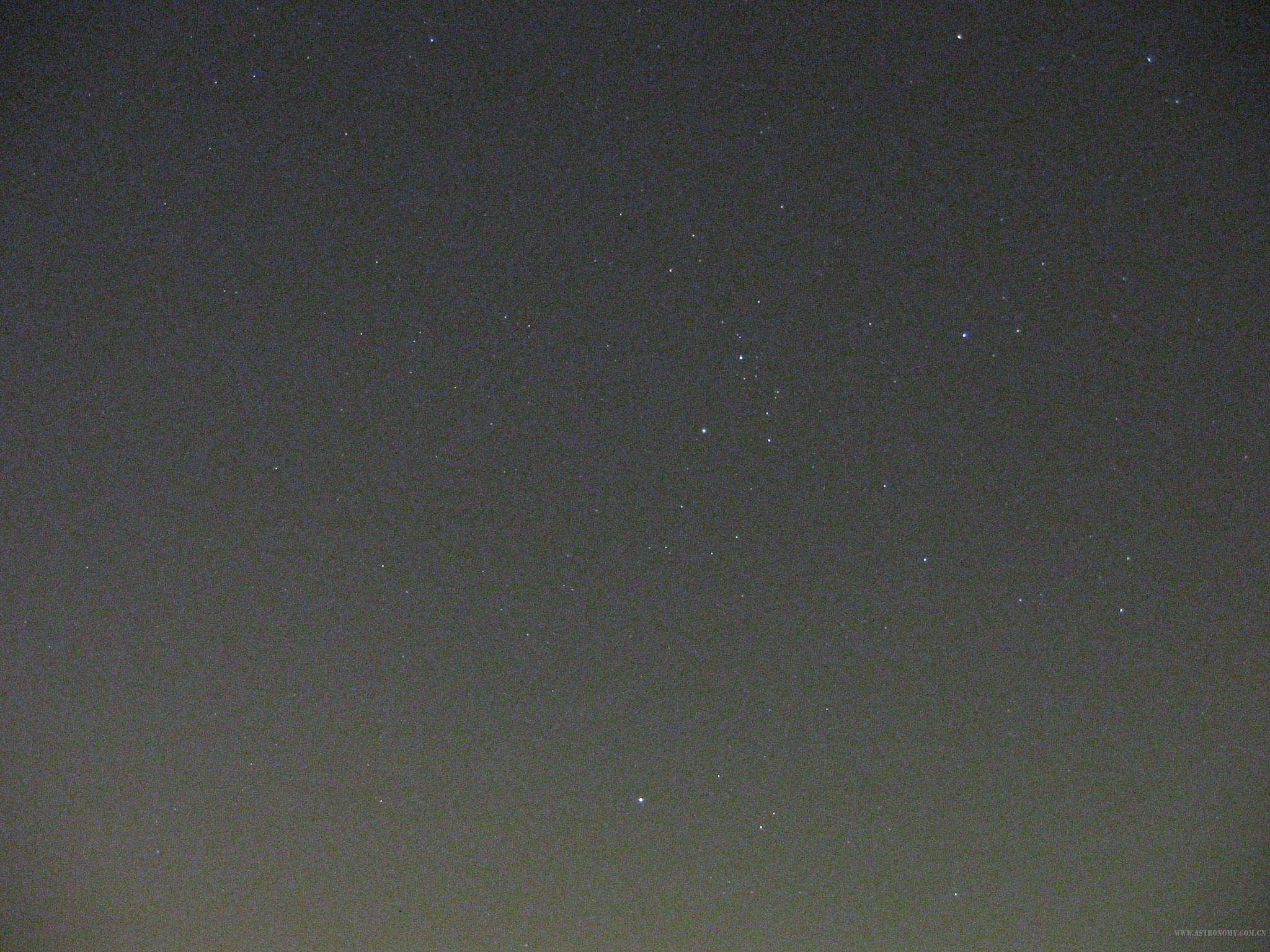 IMG_1366b.jpg