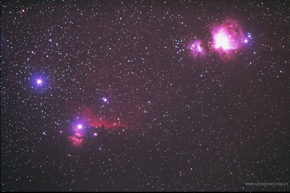 Horsehead-final.jpg