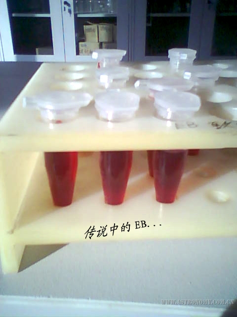 PIC_8117.jpg
