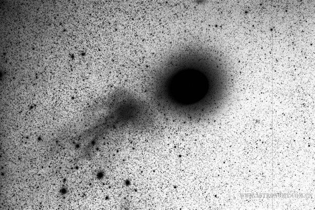 G14-clvdarias-holmes-E-300-C-10-X1-Luminance-001-UT030558 scaled.jpg