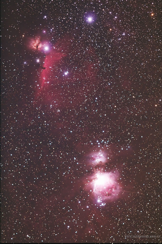 horsehead.jpg