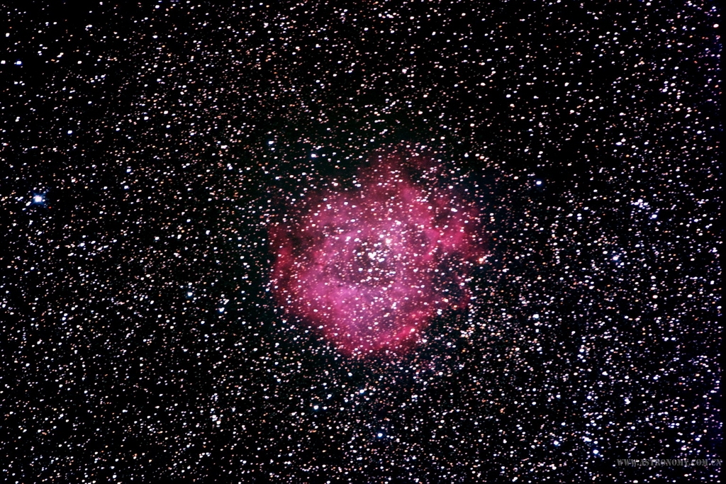 CRW_819X.jpg