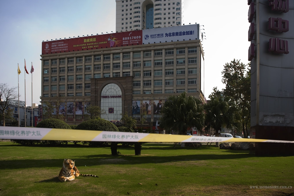 416146-_MG_0173.jpg