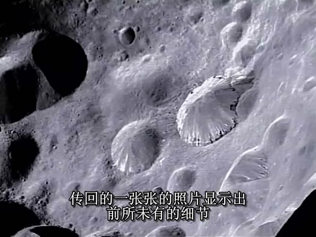 菲比星24.jpg