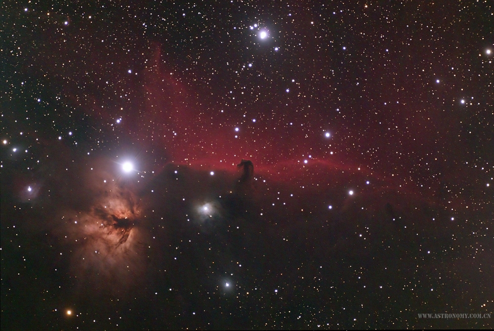 horsehead-final.jpg