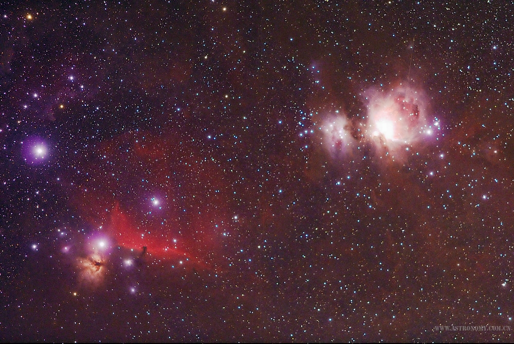 horsehead.jpg