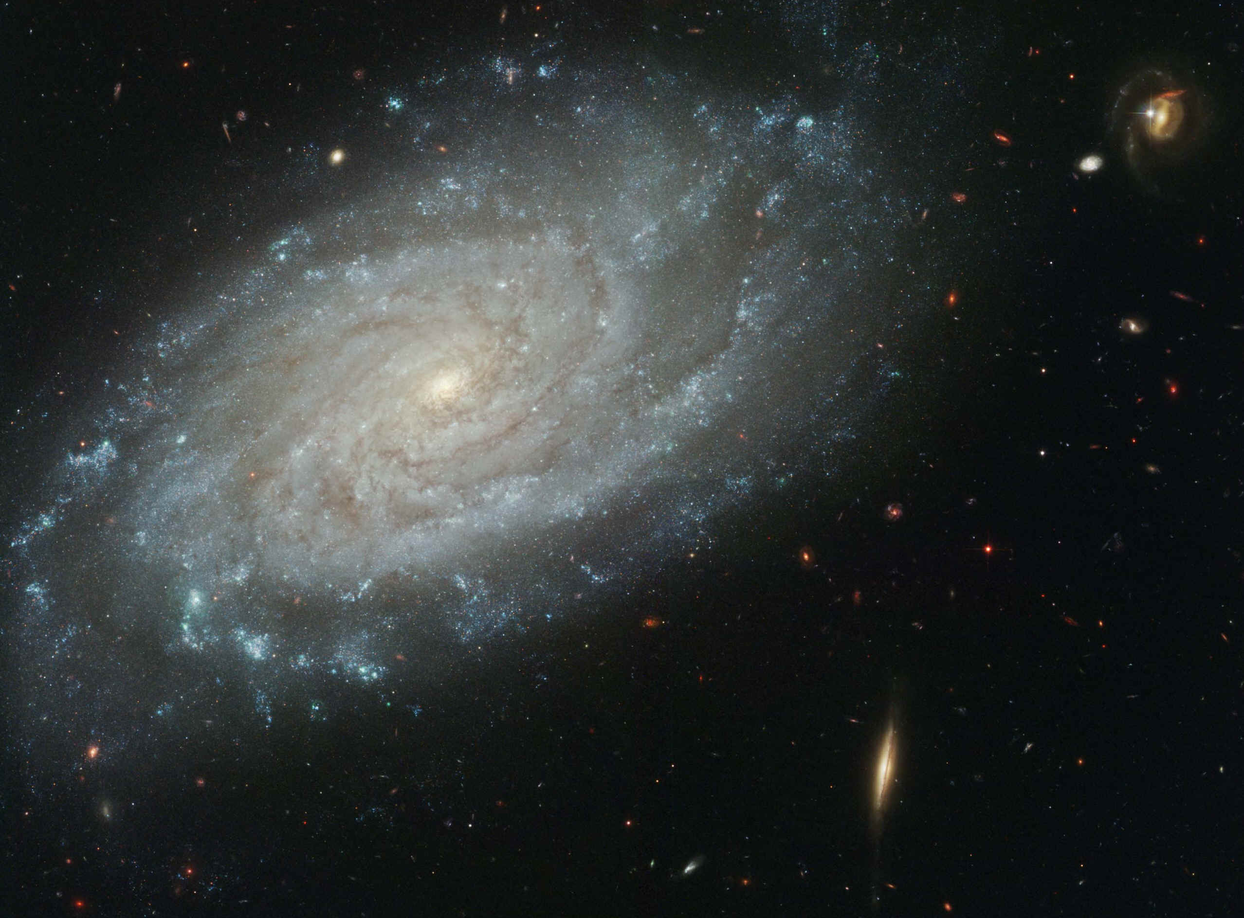 ngc3370.jpg