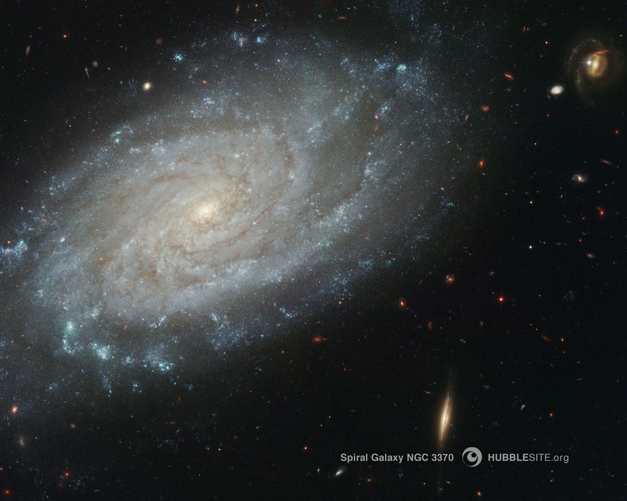 Spiral Galaxy NGC 3370.jpg