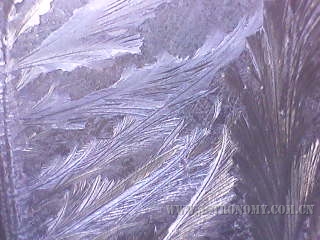 image087.jpg