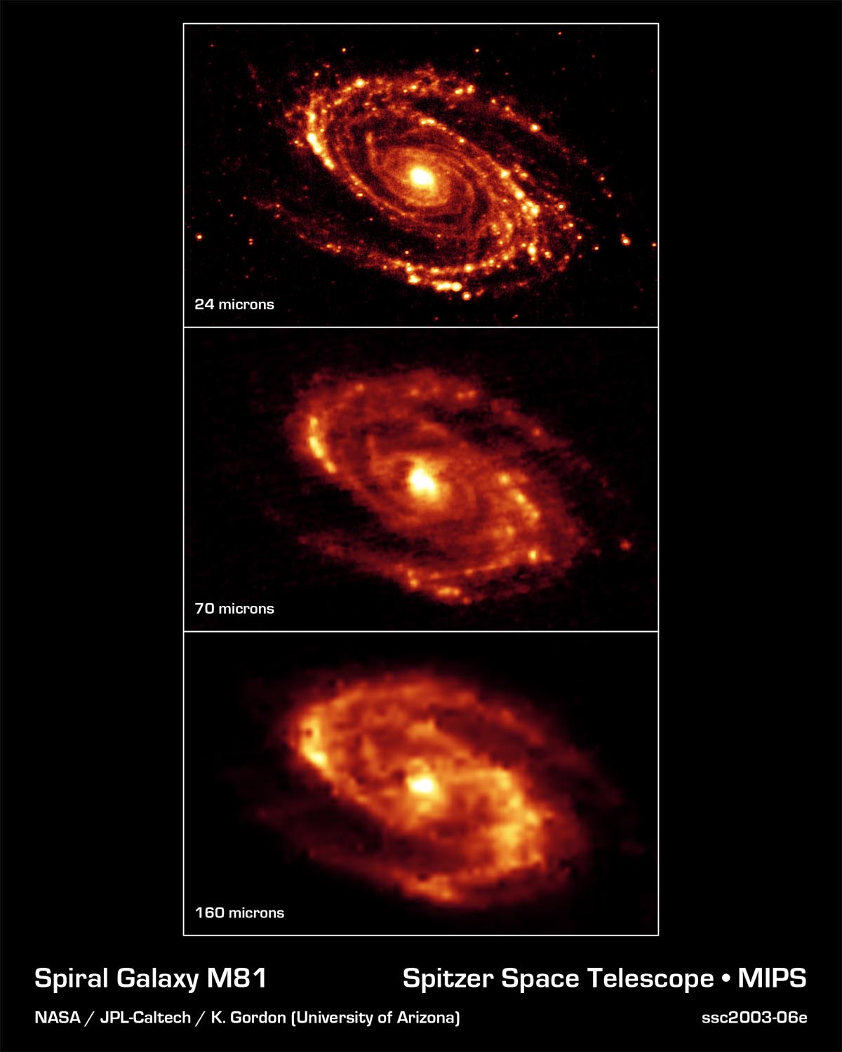 M81-package3.jpg