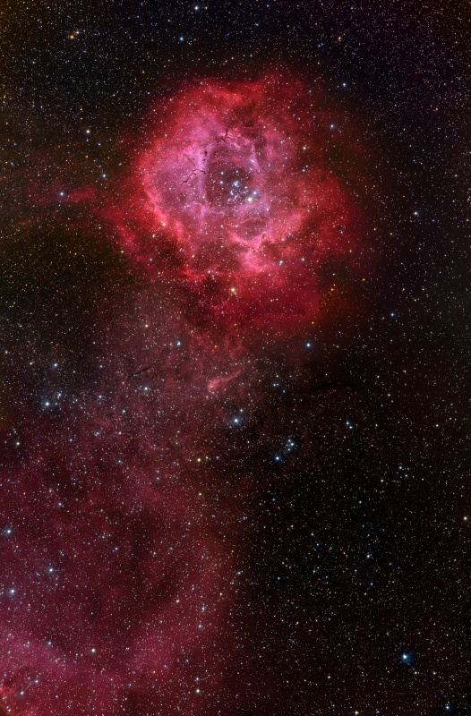 NGC2237 玫瑰星云.jpg