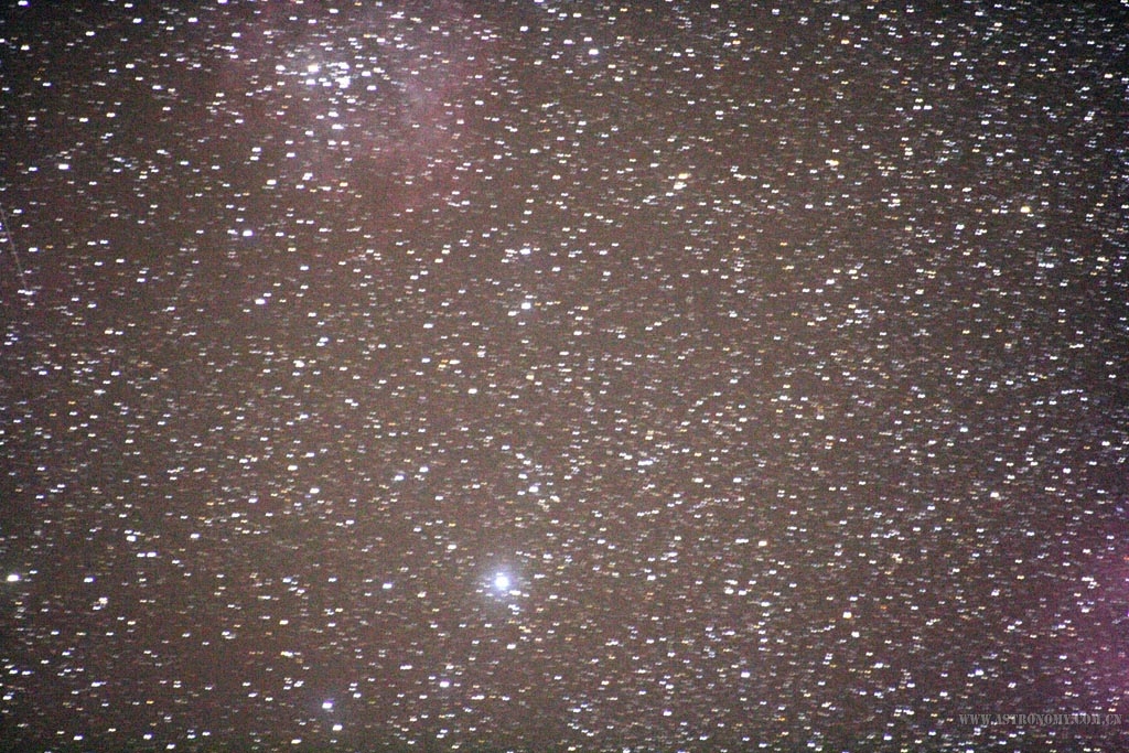 300mm350d拍摄玫瑰，没瞄准