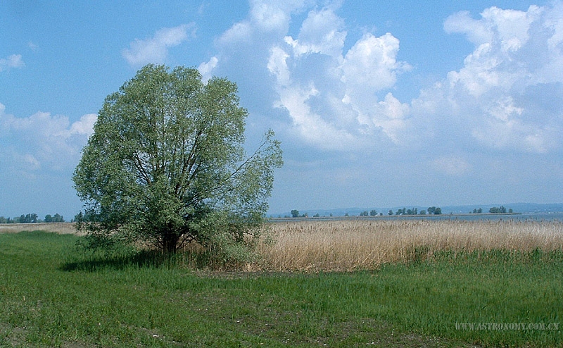 296.jpg