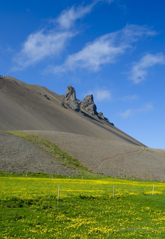 339.jpg