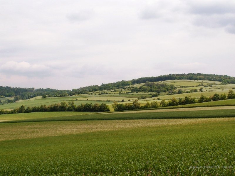 304.jpg