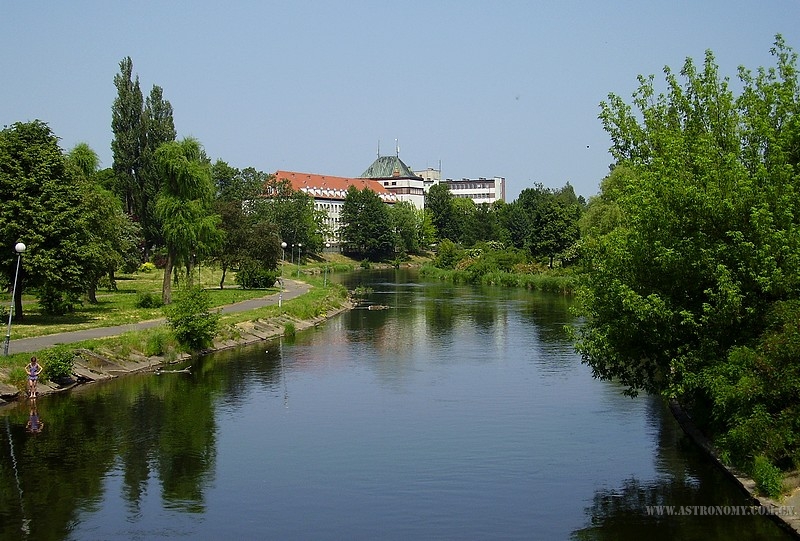 336.jpg