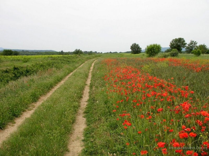 284.jpg
