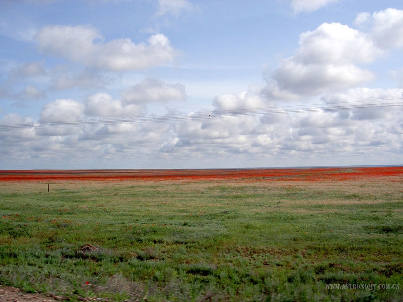207.jpg