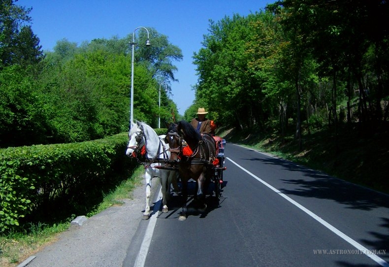 245.jpg