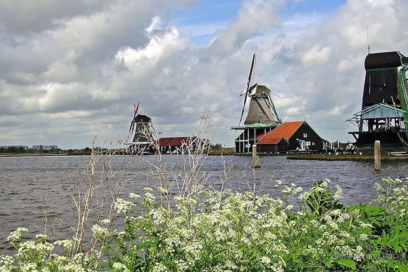 254.jpg