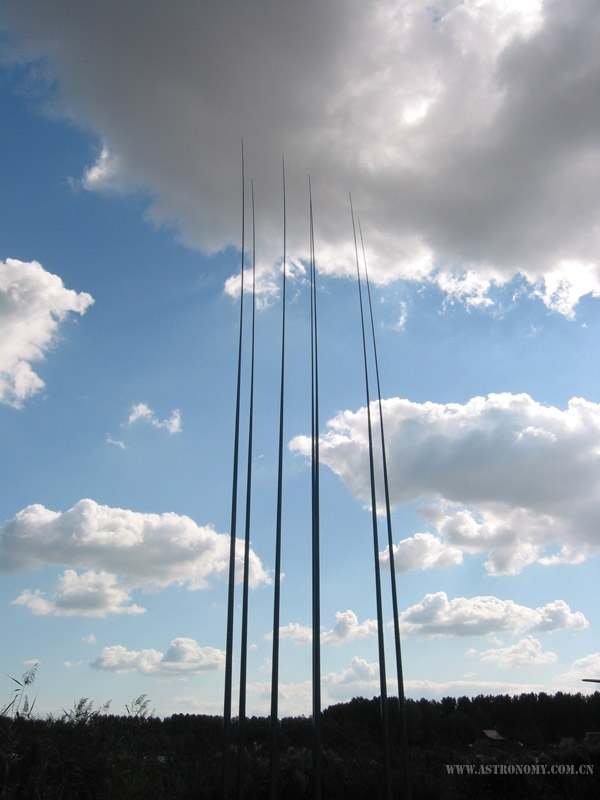 490.jpg