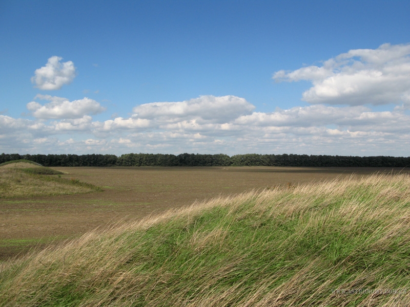 514.jpg
