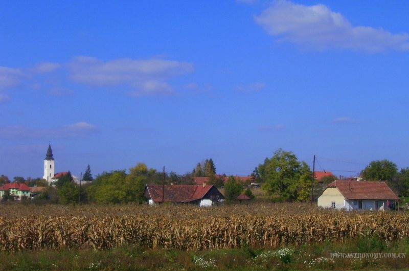 575.jpg