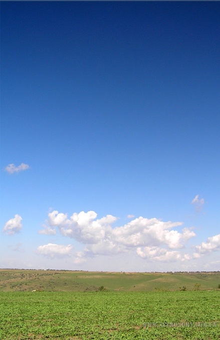 528.jpg