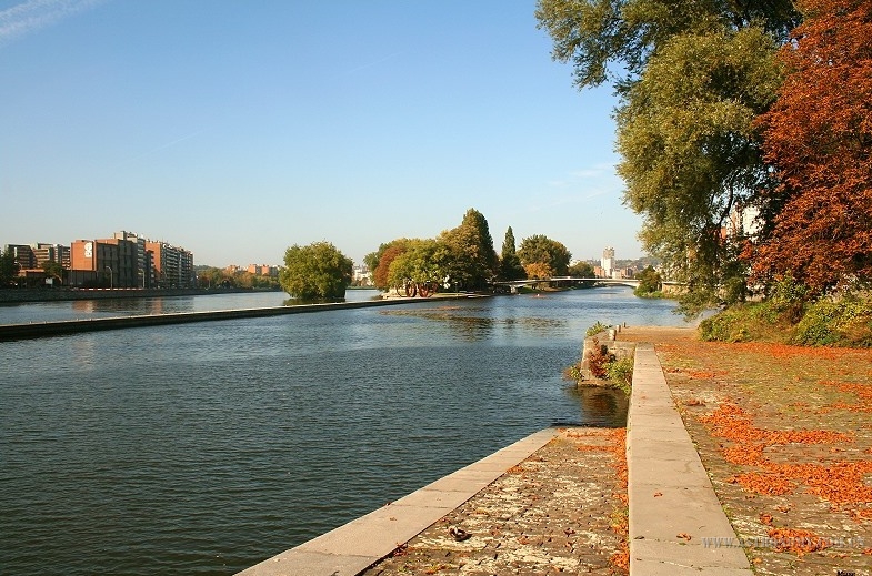 574.jpg