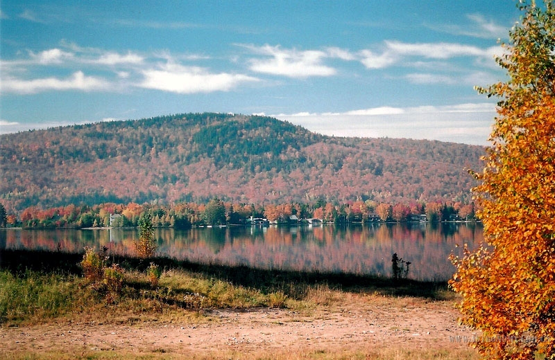 567.jpg