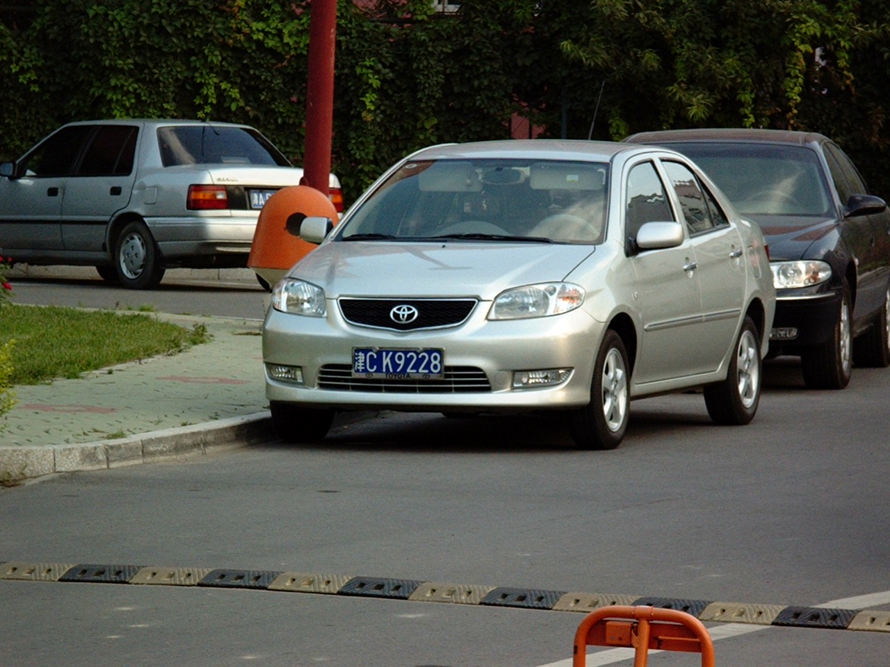 IMGP8731.JPG