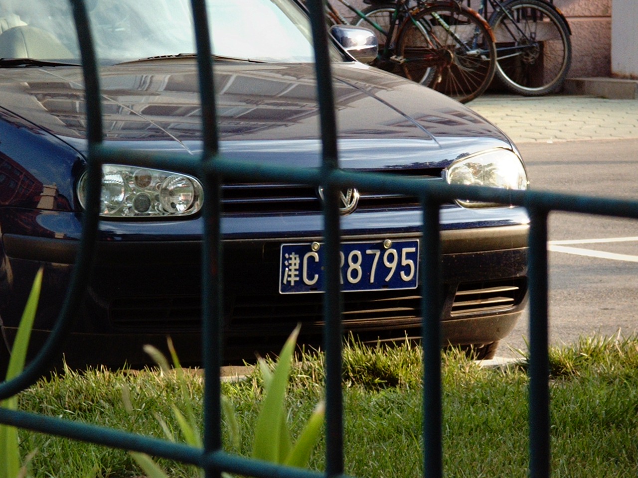 IMGP8718.JPG