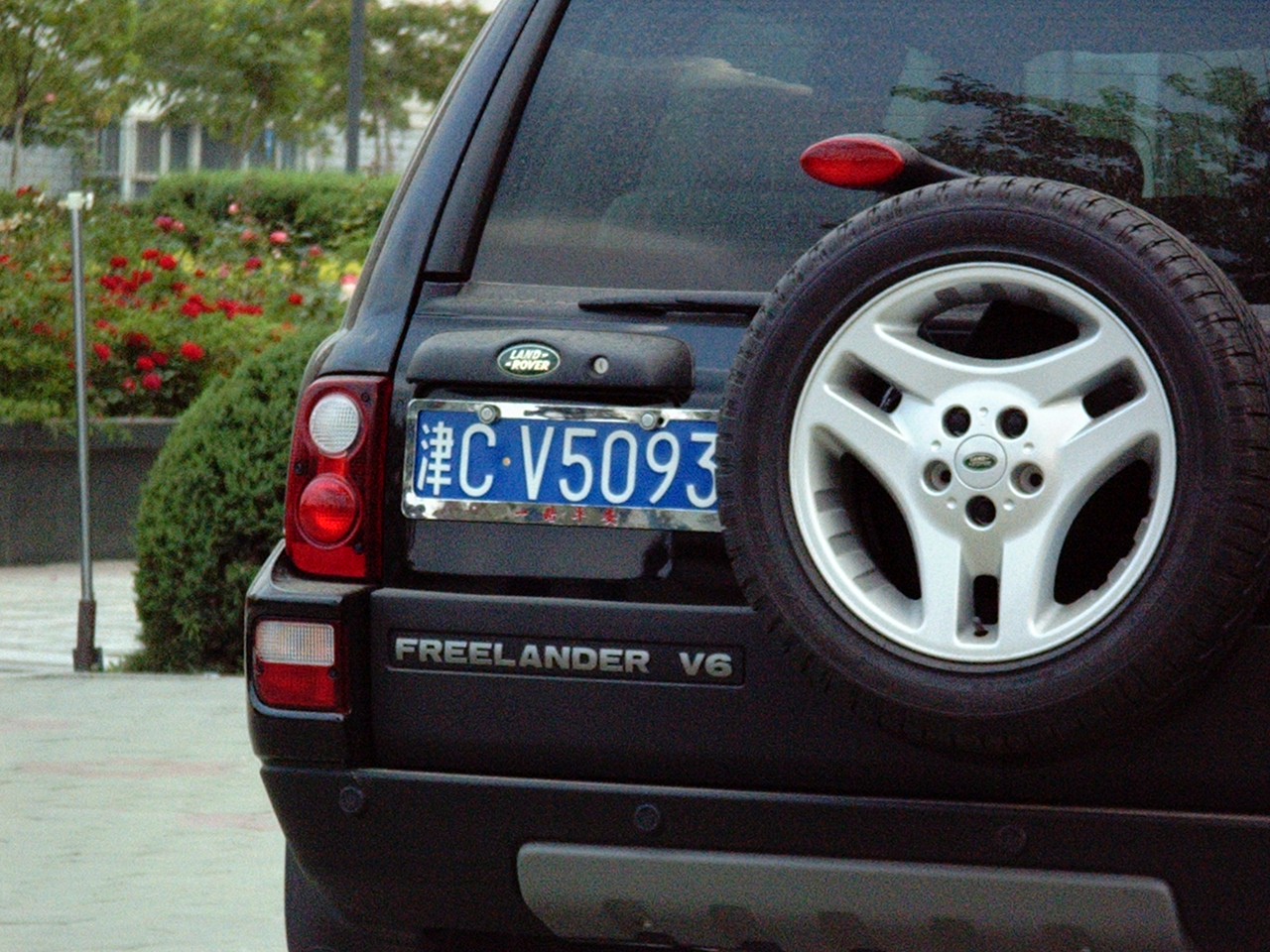 IMGP8794.JPG