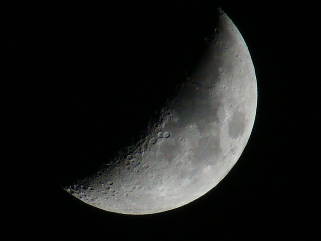 DSC02454.JPG