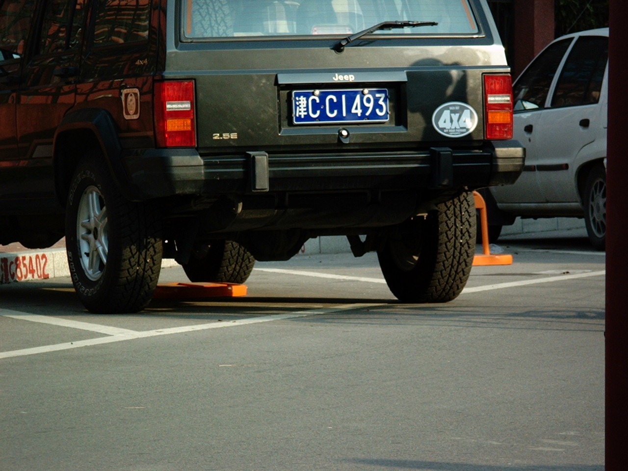 IMGP8717.JPG