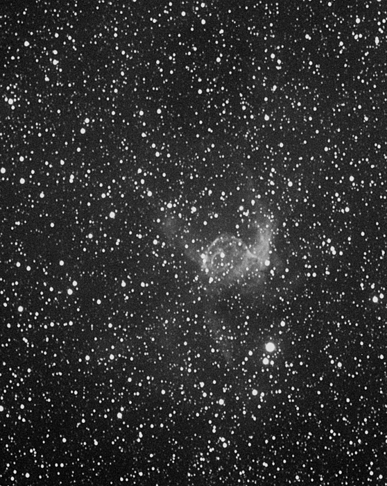 N2359s.jpg