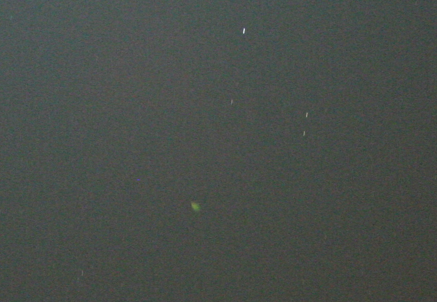 IMG_2861_Zoom.jpg
