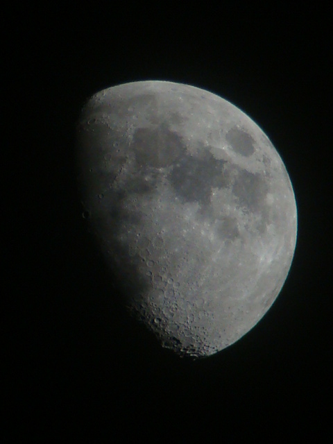 DSC02597.JPG