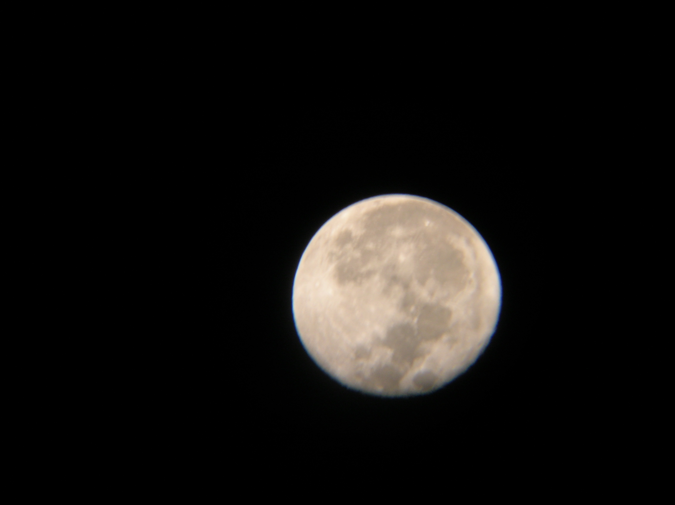 DSCN0500.JPG