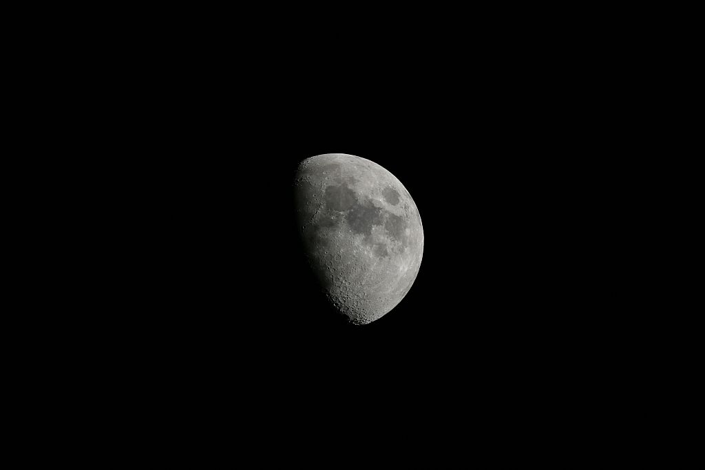 IMG_5981.jpg