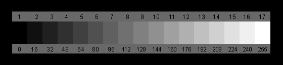 16_steps.jpg