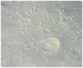 2008-4-17-22-44-56.jpg