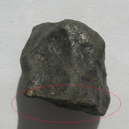 DSCN1208.jpg