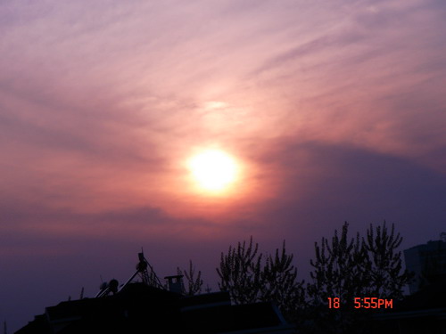 DSC00870_缩小大小.JPG