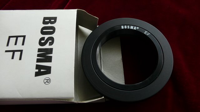 P1030140.JPG
