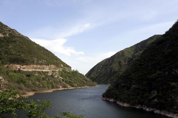 _MG_9919.jpg