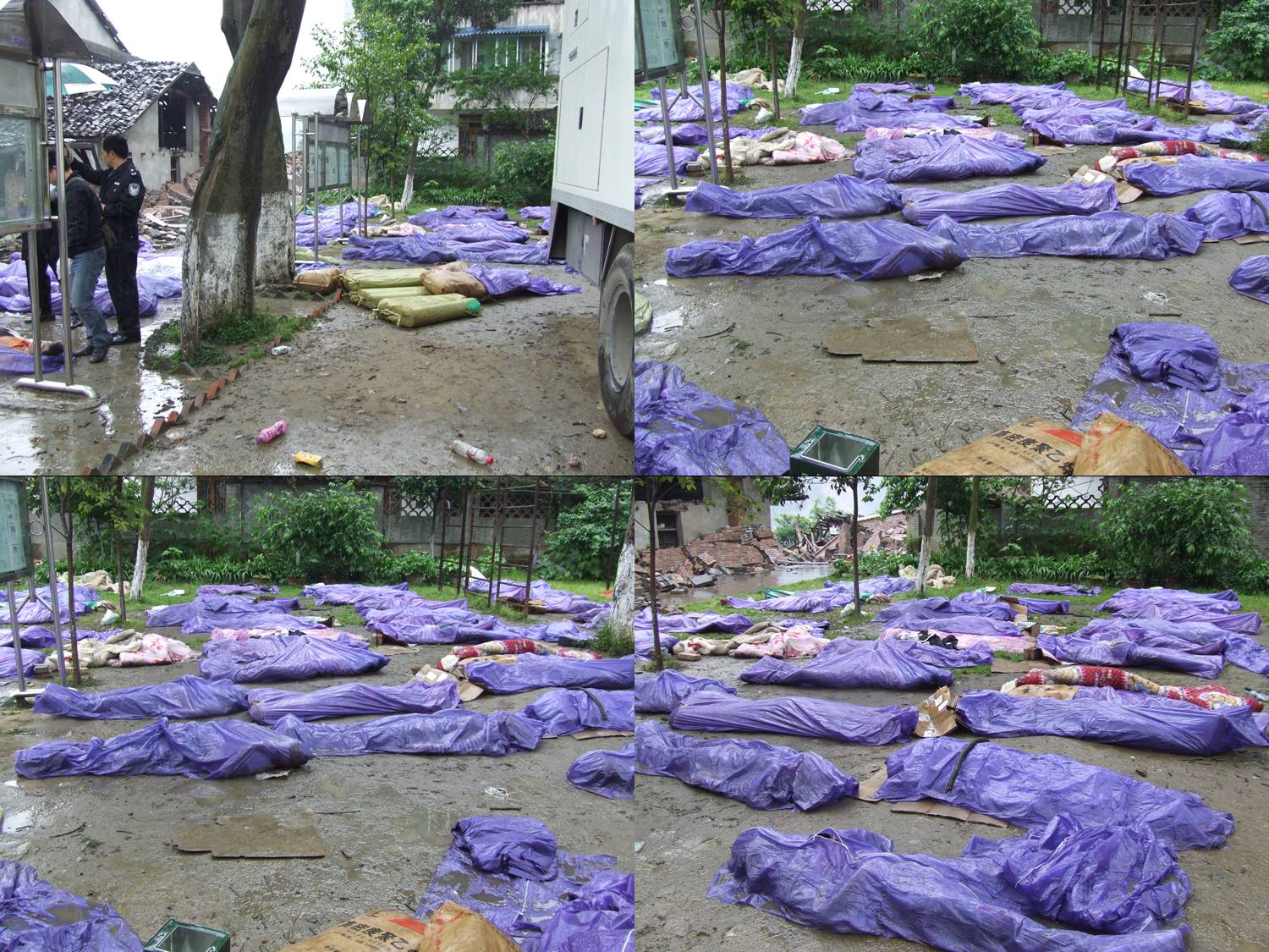 3540059.jpg
