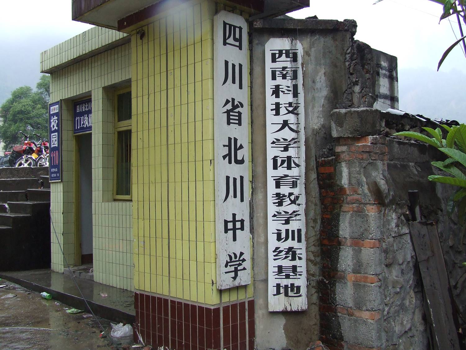 3540045.jpg