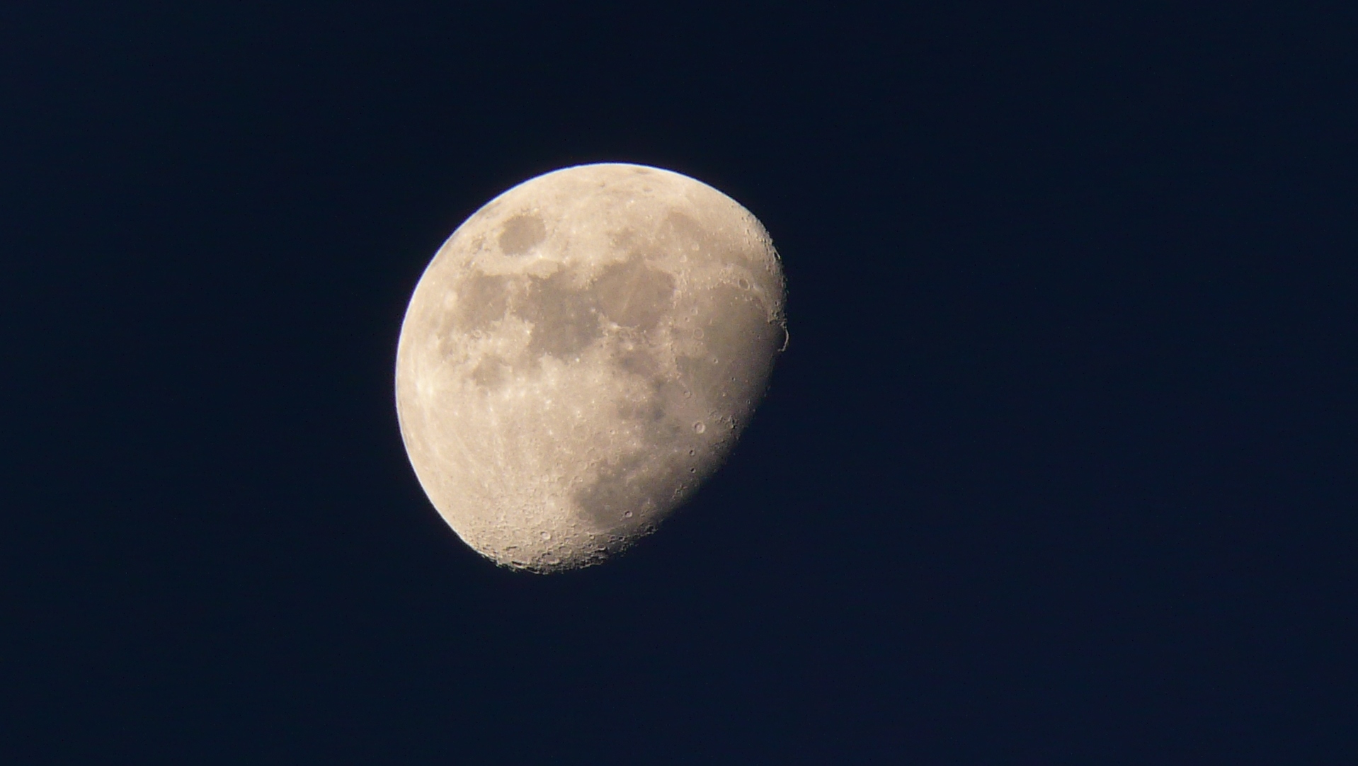 P10104622.jpg