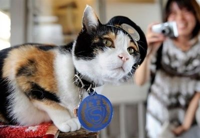 一位女乘客在给"猫站长"拍照